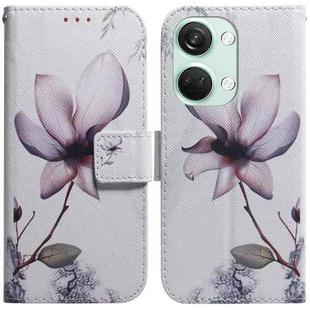 For OnePlus Nord 3 Coloured Drawing Flip Leather Phone Case(Magnolia)