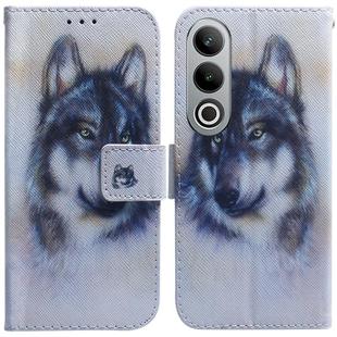 For OnePlus Nord CE4 5G Coloured Drawing Flip Leather Phone Case(White Wolf)