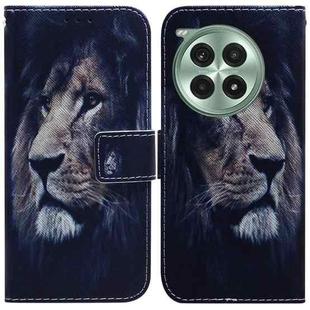 For OnePlus Ace 3 Pro Coloured Drawing Flip Leather Phone Case(Lion)