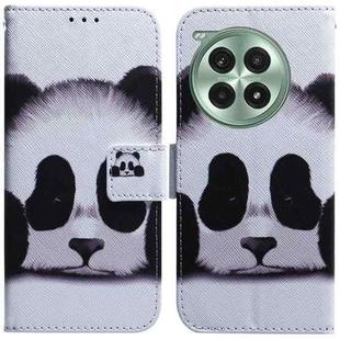 For OnePlus Ace 3 Pro Coloured Drawing Flip Leather Phone Case(Panda)