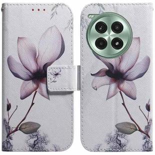 For OnePlus Ace 3 Pro Coloured Drawing Flip Leather Phone Case(Magnolia)