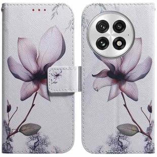 For OnePlus 13 Coloured Drawing Flip Leather Phone Case(Magnolia)