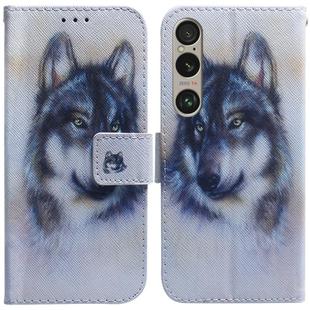 For Sony Xperia 1 VI Coloured Drawing Flip Leather Phone Case(White Wolf)