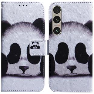 For Sony Xperia 1 VI Coloured Drawing Flip Leather Phone Case(Panda)