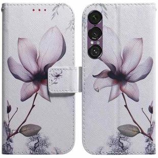 For Sony Xperia 1 VII Coloured Drawing Flip Leather Phone Case(Magnolia)