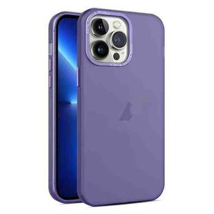 For iPhone 13 Pro Max Frosted Translucent Mist Phone Case(Dark Purple)