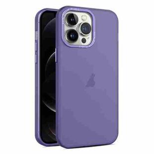 For iPhone 12 Pro Max Frosted Translucent Mist Phone Case(Dark Purple)