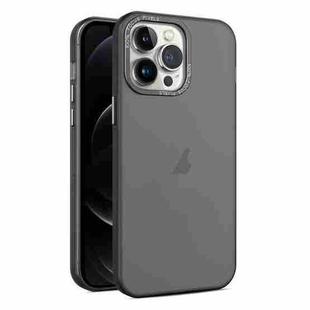 For iPhone 12 Pro Max Frosted Translucent Mist Phone Case(Black)