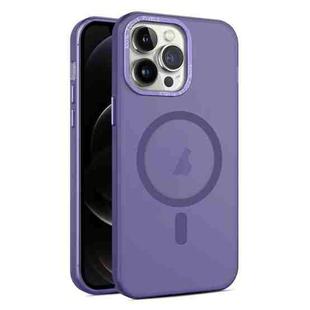 For iPhone 12 Pro Max MagSafe Frosted Translucent Mist Phone Case(Dark Purple)