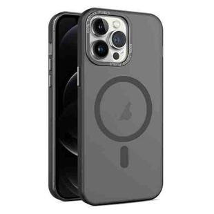 For iPhone 12 Pro MagSafe Frosted Translucent Mist Phone Case(Black)