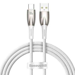 Baseus Lamp Ring Series 100W USB to USB-C/Type-C Fast Charge Data Cable, Length: 1m(White)