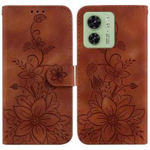 For Motorola Edge 40 Lily Embossed Leather Phone Case(Brown)