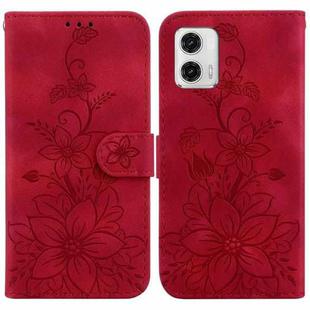 For Motorola Moto G73 Lily Embossed Leather Phone Case(Red)