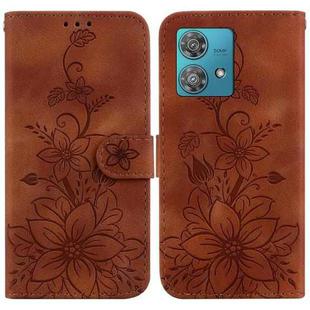 For Motorola Edge 40 Neo Lily Embossed Leather Phone Case(Brown)