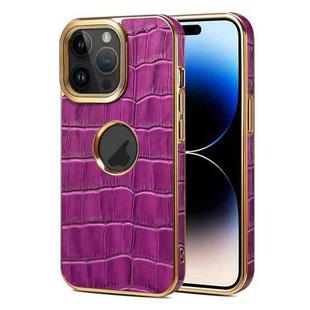 For iPhone 14 Pro Denior Crocodile Texture Genuine Leather Electroplating Phone Case(Purple)