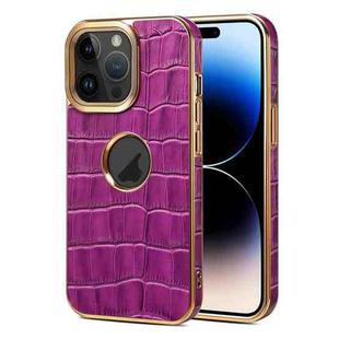 For iPhone 14 Pro Max Denior Crocodile Texture Genuine Leather Electroplating Phone Case(Purple)