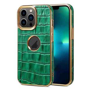 For iPhone 13 Pro Max Denior Crocodile Texture Genuine Leather Electroplating Phone Case(Green)