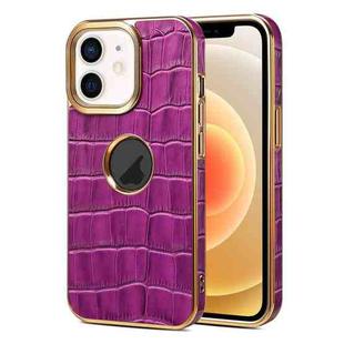 For iPhone 12 / 12 Pro Denior Crocodile Texture Genuine Leather Electroplating Phone Case(Purple)