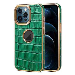 For iPhone 12 Pro Max Denior Crocodile Texture Genuine Leather Electroplating Phone Case(Green)