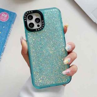 For iPhone 14 Pro Glitter Epoxy Shockproof Phone Case(Blue)