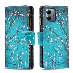 For Motorola Moto G14 4G Colored Drawing Pattern Zipper Leather Phone Case(Plum Blossom)