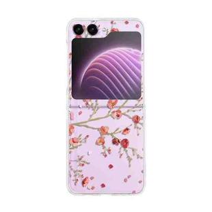 For Samsung Galaxy Z Flip5 Painted Pattern PC Transparent Folding Phone Case(Z52 Peach Blossom)