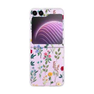 For Samsung Galaxy Z Flip5 Painted Pattern PC Transparent Folding Phone Case(Z02 Vine Flower)