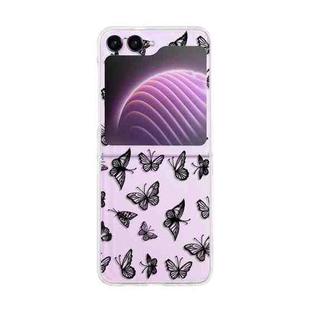 For Samsung Galaxy Z Flip5 Painted Pattern PC Transparent Folding Phone Case(Z40 Black Butterfly)