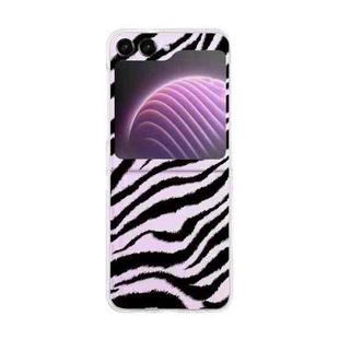 For Samsung Galaxy Z Flip5 Painted Pattern PC Transparent Folding Phone Case(Z91 Zebra Pattern)