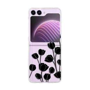 For Samsung Galaxy Z Flip5 Painted Pattern PC Transparent Folding Phone Case(Z63 Black Tulip)
