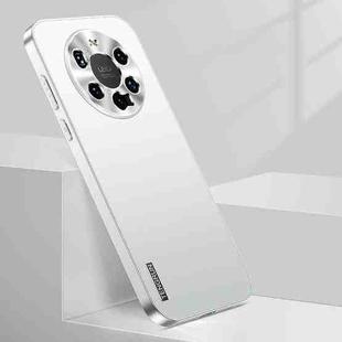 For Huawei Mate 40 Pro+ Streamer Series Micro Frosted Metal Paint PC Phone Case(Silver)