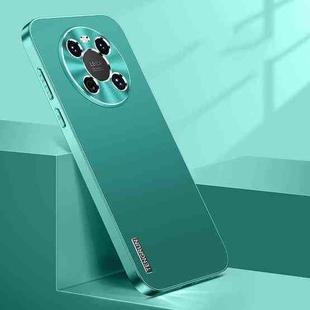 For Huawei Mate 40 Streamer Series Micro Frosted Metal Paint PC Phone Case(Alpine Green)