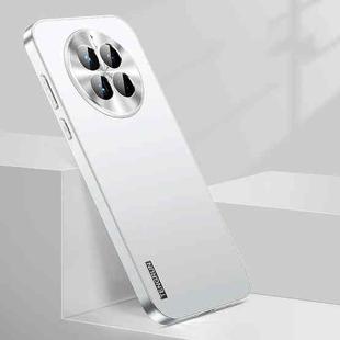 For Huawei Mate 50 Streamer Series Micro Frosted Metal Paint PC Phone Case(Silver)