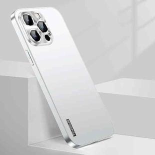 For iPhone 14 Pro Max Streamer Series Micro Frosted Metal Paint PC Phone Case(Silver)