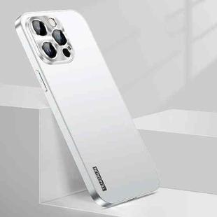 For iPhone 12 Pro Max Streamer Series Micro Frosted Metal Paint PC Phone Case(Silver)