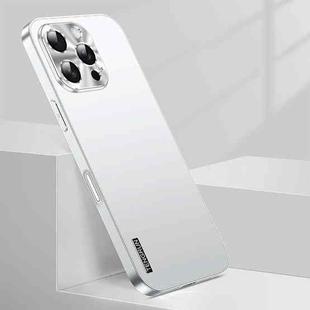 For iPhone 16 Pro Streamer Series Micro Frosted Metal Paint PC Phone Case(Silver)