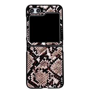 For Samsung Galaxy Z Flip5 Animal Pattern Texture Protective Phone Case(Golden Snake Texture)