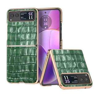 For Motorola Razr 40 Crocodile Texture Genuine Leather Electroplating Phone Case(Dark Green)
