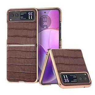 For Motorola Razr 40 Crocodile Texture Genuine Leather Electroplating Phone Case(Brown)