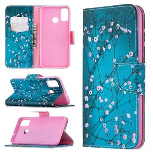 For Huawei Honor 9X Lite Colored Drawing Pattern Horizontal Flip Leather Case with Holder & Card Slots & Wallet(Plum Blossom)