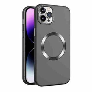 For iPhone 11 Pro Max CD Texture MagSafe Frosted Translucent Phone Case(Black)