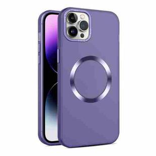 For iPhone 11 Pro CD Texture MagSafe Frosted Translucent Phone Case(Dark Purple)