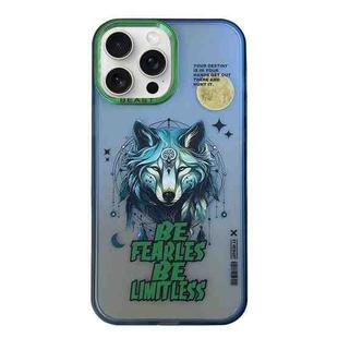 For iPhone 15 Pro Aurora Series Painted Pattern Phone Case(Wolf)