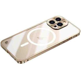 For iPhone 15 Pro Metal Frame Frosted PC Shockproof MagSafe Case(Gold)