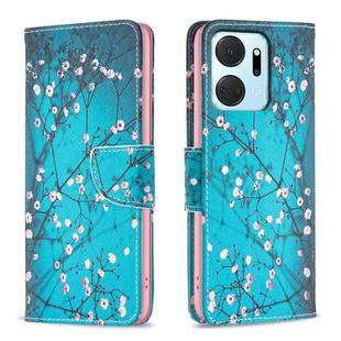 For Honor X7a Colored Drawing Pattern Leather Phone Case(Plum Blossom)