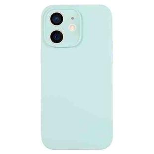 For iPhone 12 Pure Color Liquid Silicone Fine Pore Phone Case(Turquoise)