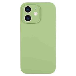 For iPhone 12 Pure Color Liquid Silicone Fine Pore Phone Case(Mint Green)