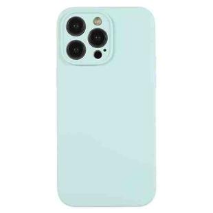 For iPhone 12 Pro Pure Color Liquid Silicone Fine Pore Phone Case(Turquoise)