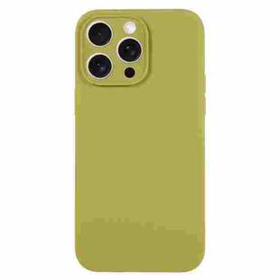 For iPhone 16 Pro Pure Color Liquid Silicone Fine Pore Phone Case(Willow Green)