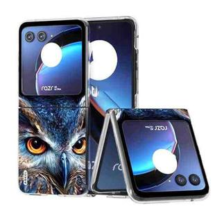 For Motorola Razr 40 Ultra ABEEL PC Paintings Pattern Phone Case(Owl)